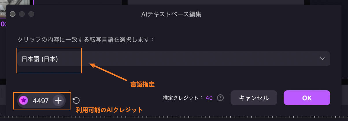 文字起こしの言語を指定する