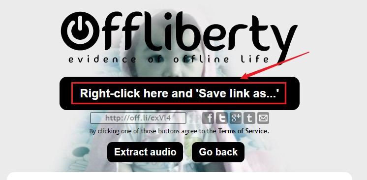 offlibertyで動画をダウンロードする手順02