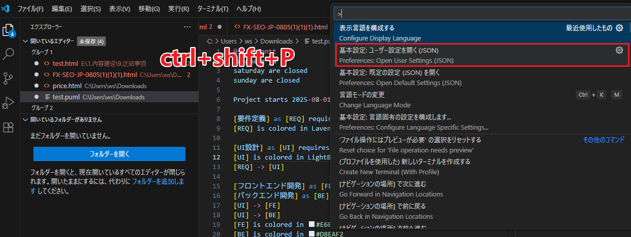 `Preferences: Open User Settings (JSON)` を選択