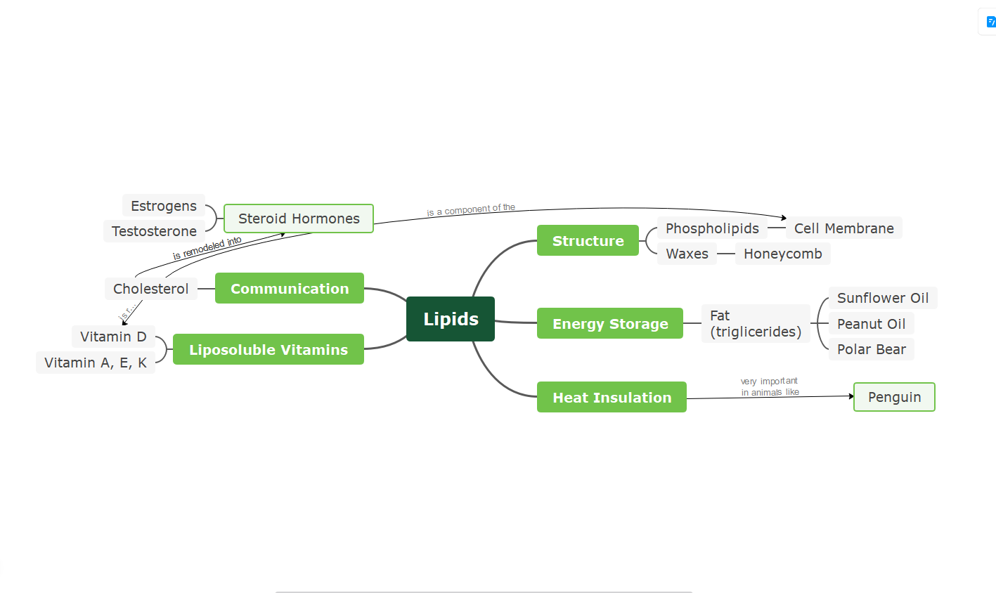 脂質のコンセプトマップ テンプレート