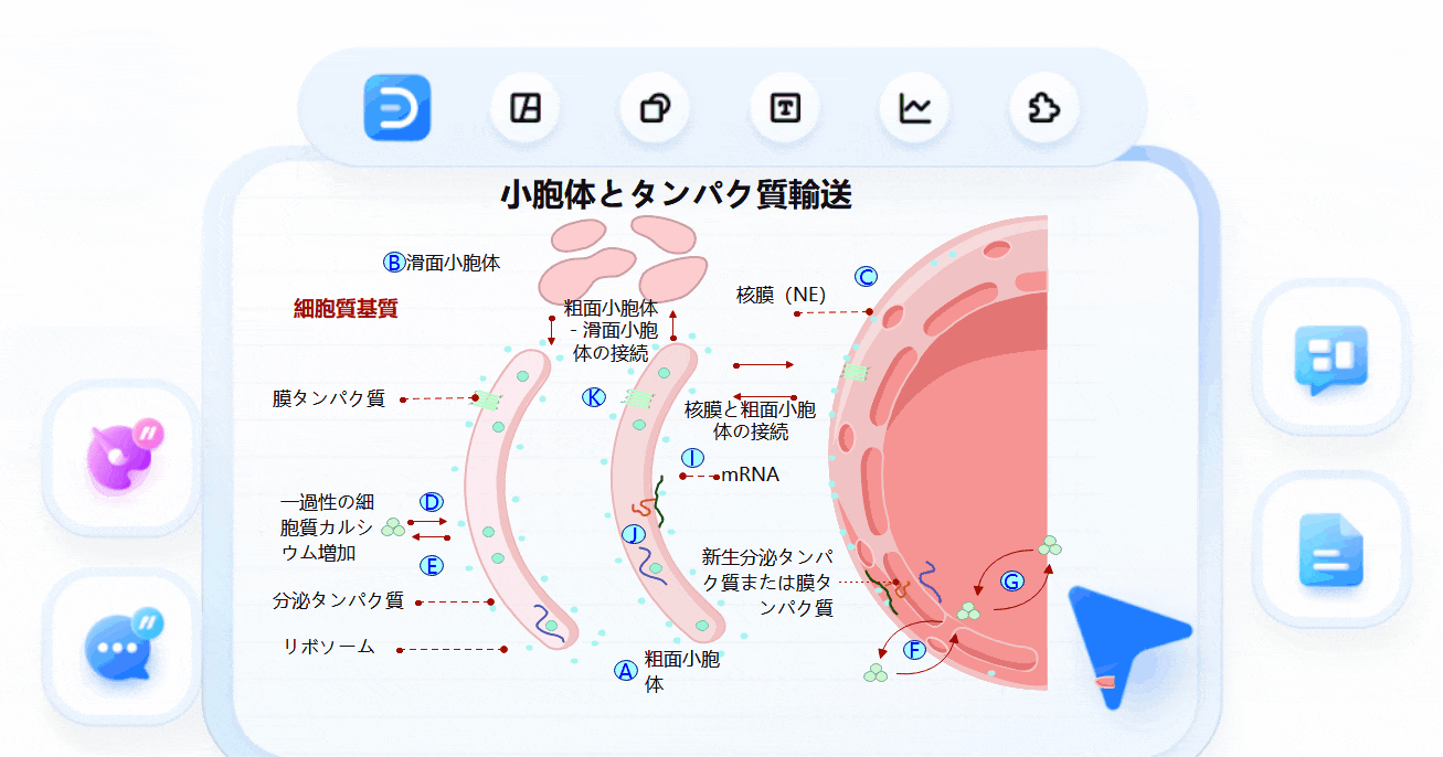細胞図作成ソフト