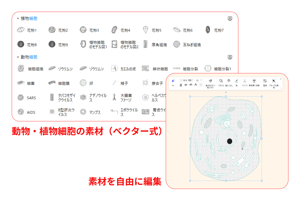 細胞イラスト素材