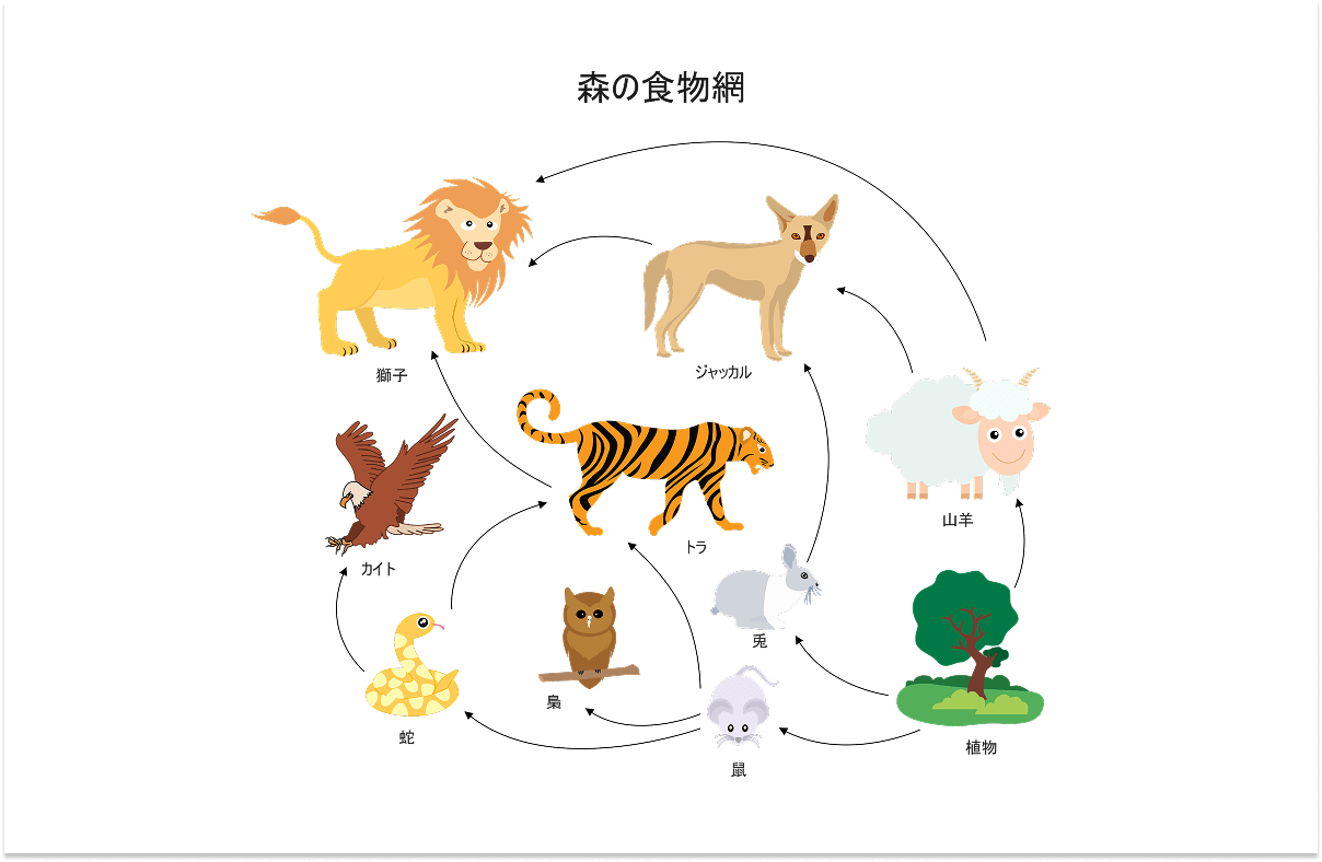 食物連鎖イラスト