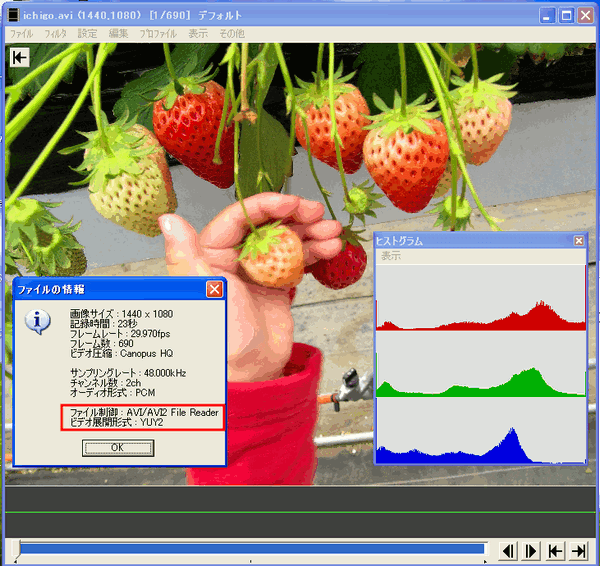 AviUtlでAVIフォーマットデータを編集する