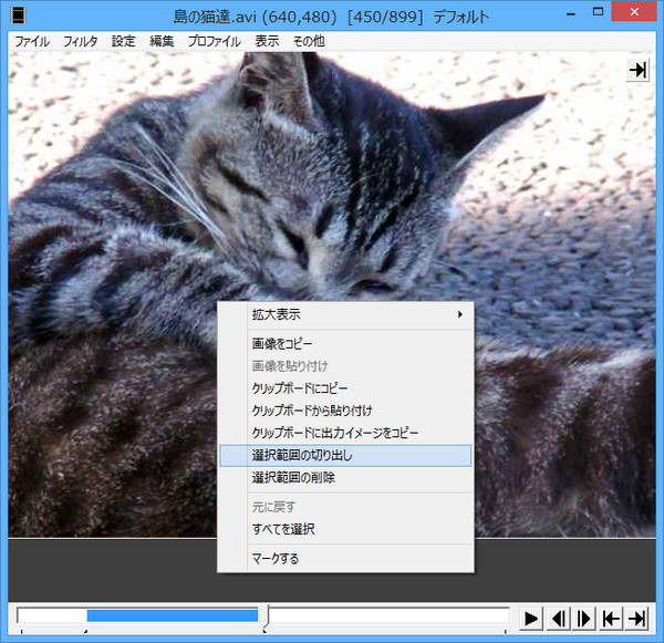 Aviutlで動画のリサイズ