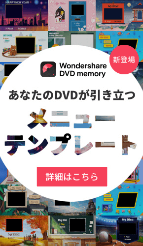  DVD Memory