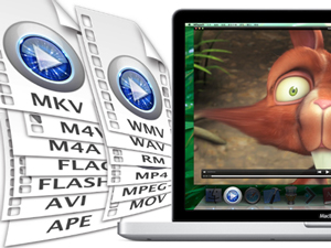 mplayer