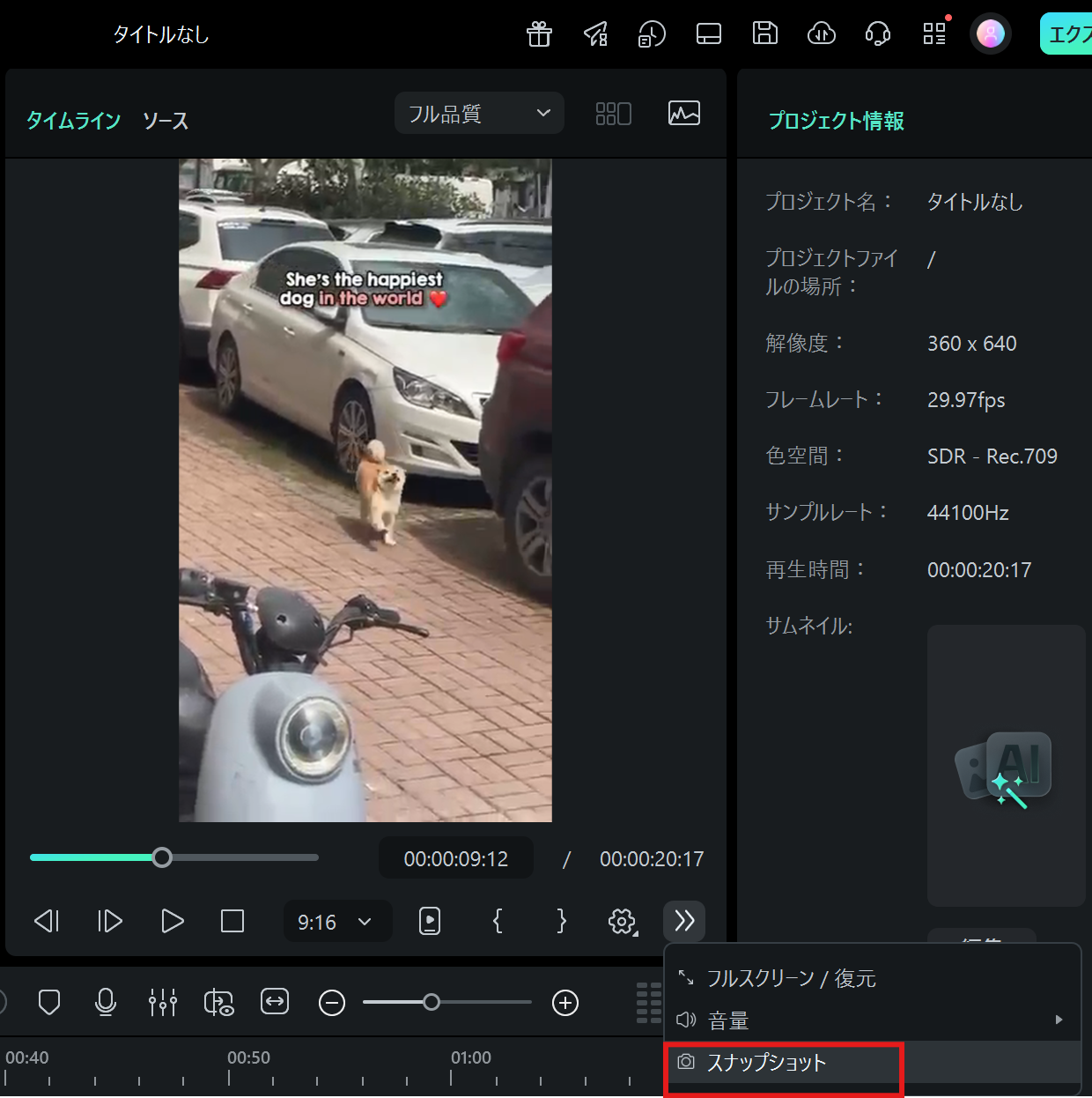 snapshot2.png