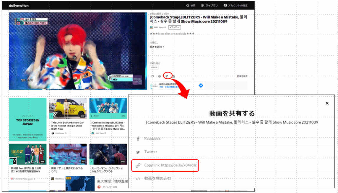 Dailymotion動画を保存する方法4選