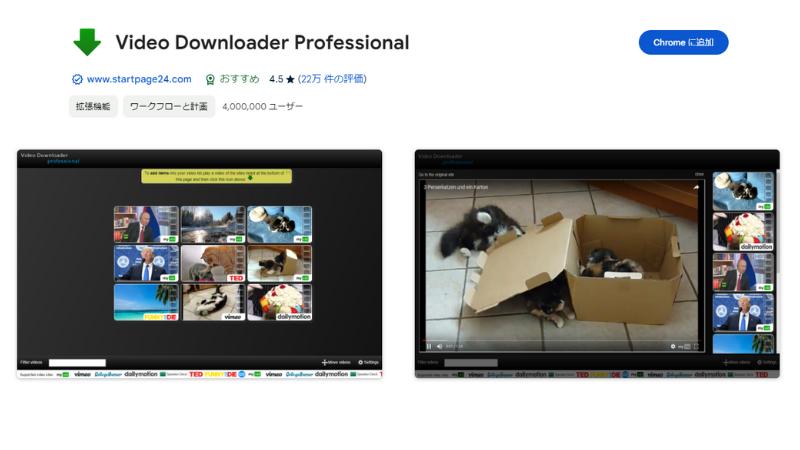 Video Downloader professional