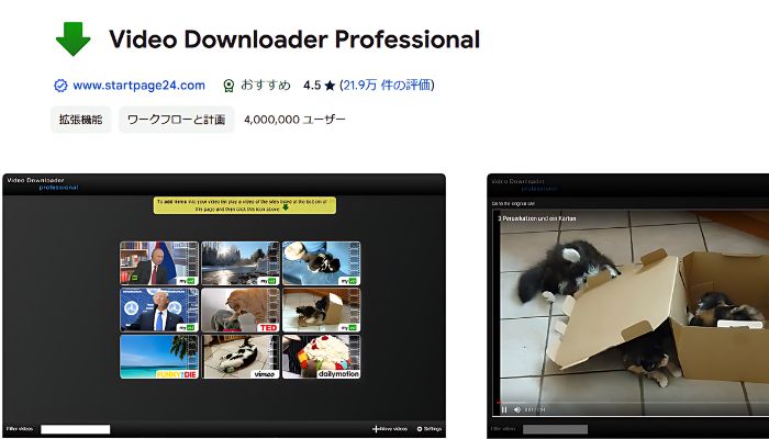 Avgleの動画をダウンロードできるソフト・ツール④：Video Downloder Professional