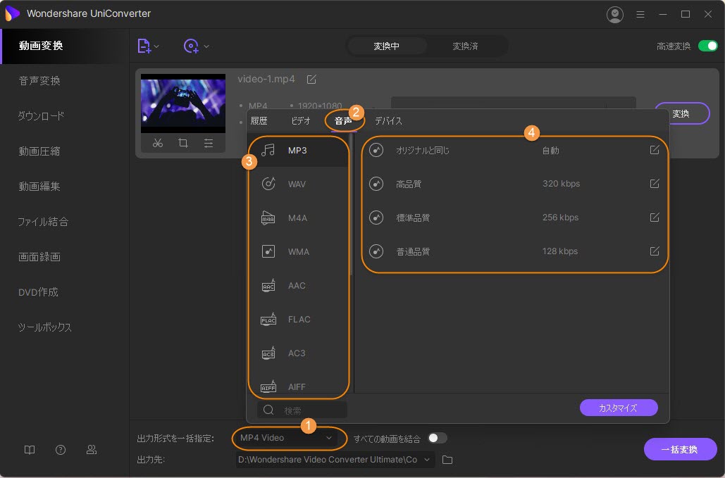 choose the audio format to output