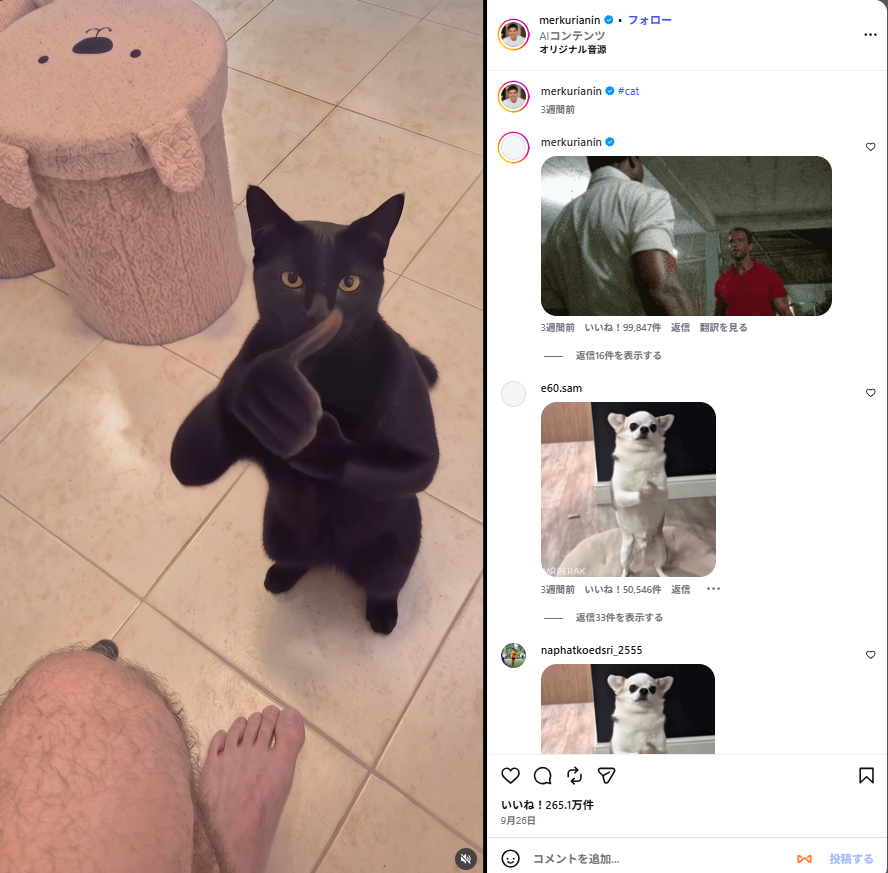 Instagramの@merkurianinによる黒猫の元投稿とAIコンテンツ表示