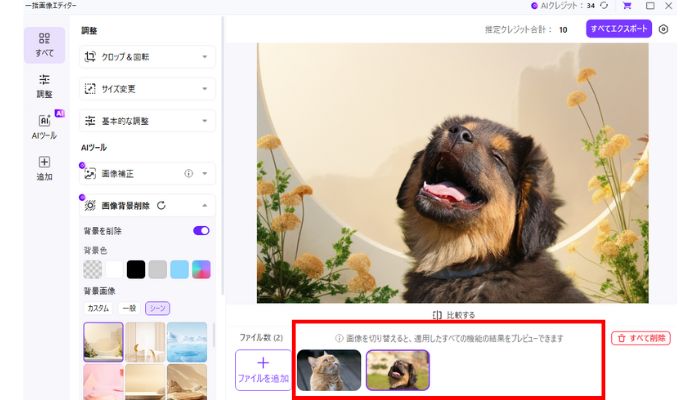 Step4.他写真のプレビュー確認