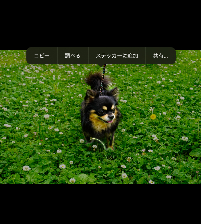 iPhoneの共有画面をタップ