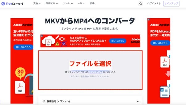 mkv-mp4-site10.png
