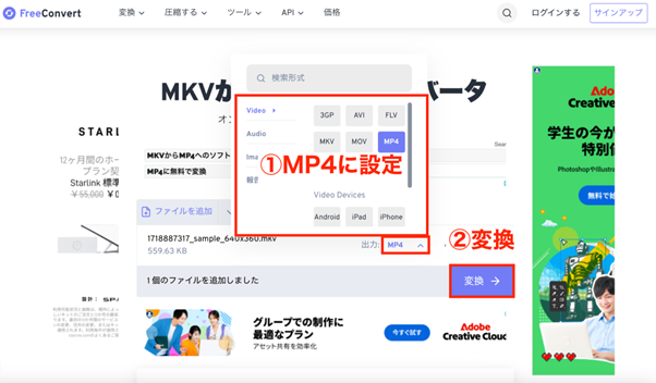 mkv-mp4-site11.png