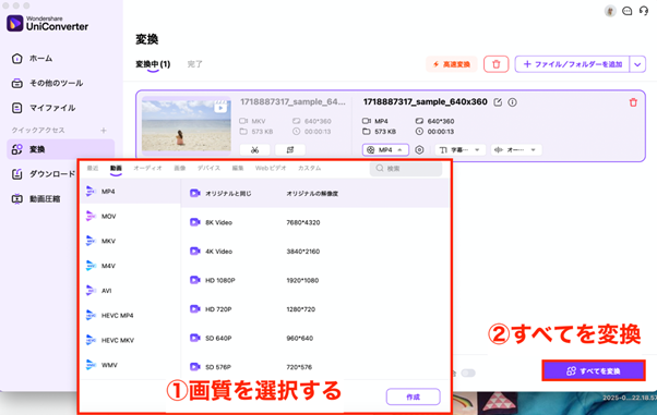 mkv-mp4-site6.png