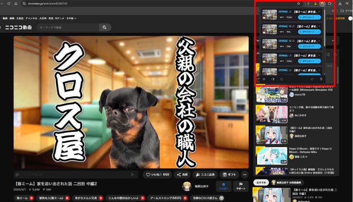 ブラウザ拡張機能からダウンロードする