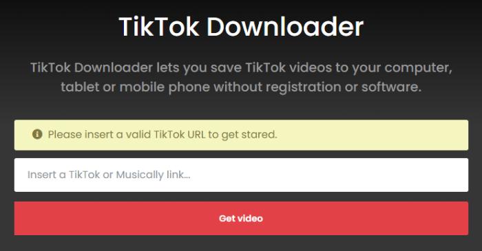 TTDownloader